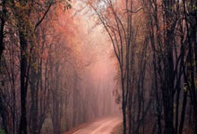 [国足]中国U20男足组第二进八强.