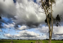 问鼎国际：足坛金猴奖颁奖典礼｜最重磅奖项，花落谁家.