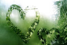 问鼎国际：“篮球世界杯预选赛中国队晋级，备战下一阶段比赛”.