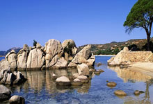 问鼎国际：CBA常规赛收官广东男篮排名第7，季后赛首轮对阵上海队.